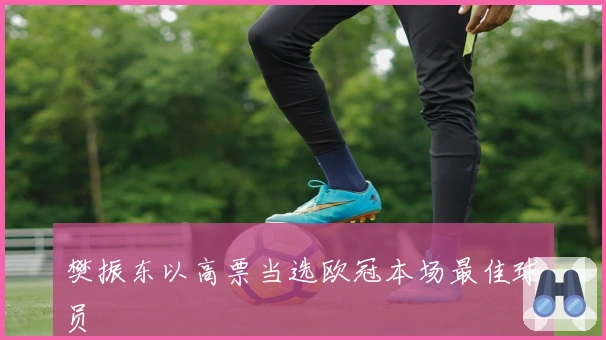 樊振东以高票当选欧冠本场最佳球员