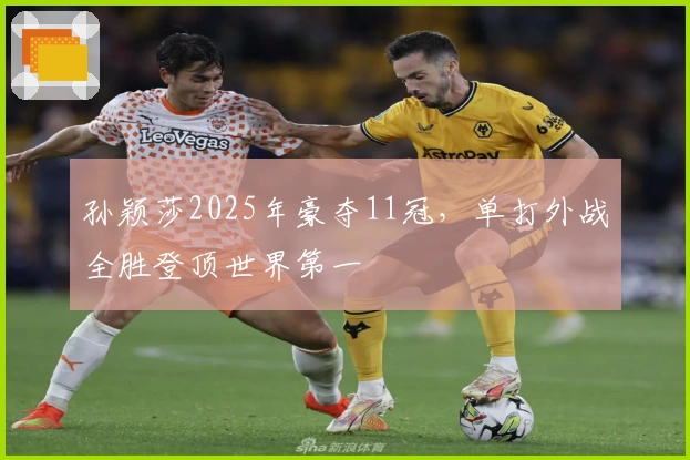 孙颖莎2025年豪夺11冠，单打外战全胜登顶世界第一